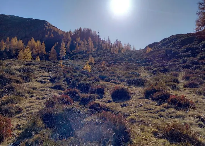 Nagelehof Appartamento *