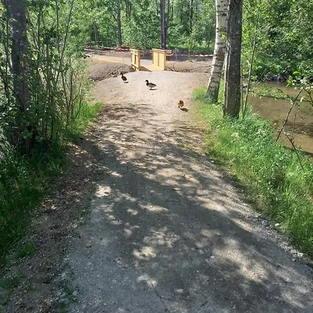 Nagelehof Apartmán Ainet