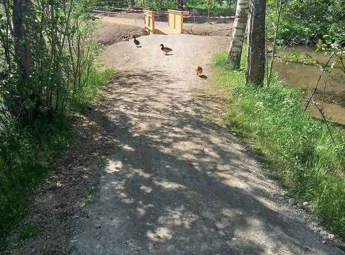 Nagelehof شقة Ainet